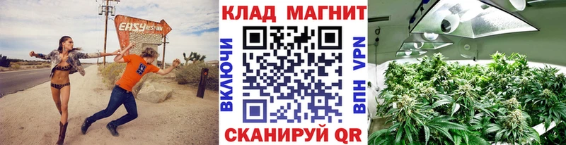 Купить наркотик аптеки Балаково Кокаин  Альфа ПВП  Псилоцибиновые грибы  Меф  ГАШ 