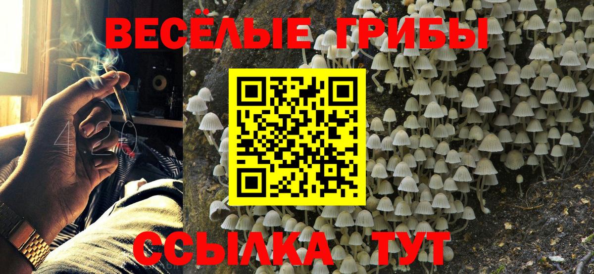 Псилоцибиновые грибы GOLDEN TEACHER  Вход с VPN  Балаково  как найти закладки  Галлюциногенные грибы GOLDEN TEACHER 
